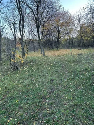 Teren intravilan 2.050 mp – Comuna Izvoarele, județul Prahova