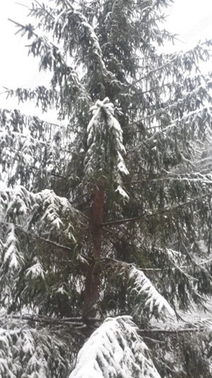 Închiriez cabană în zona de munte 