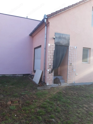 casa Iosefin - imagine 9