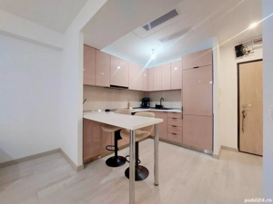 Apartament 2 Camere Rin Grand Hotel- Vitan Bârzești  - imagine 19