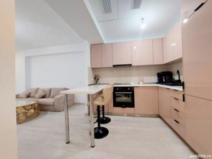 Apartament 2 Camere Rin Grand Hotel- Vitan Bârzești  - imagine 7