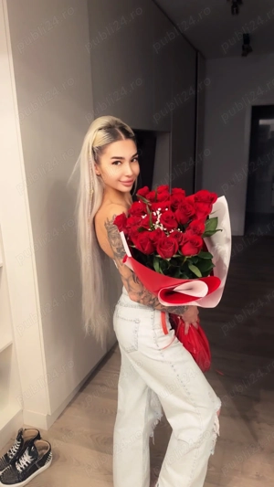 Show webbbb WHATSAPP