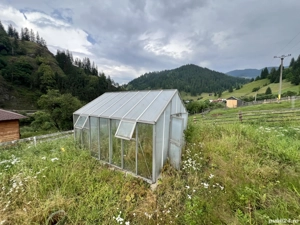 Seră aluminiu + policarbonat 4 6m + irigație automată