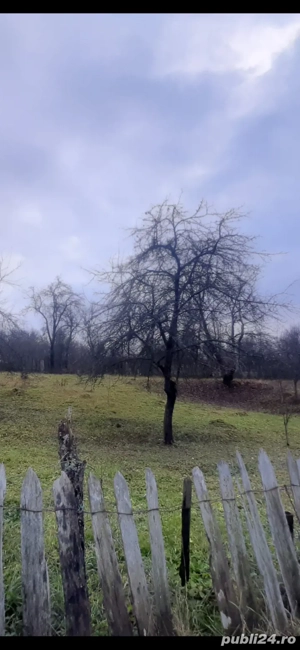 Tinutul Padurenilor intravil(415m   lot)2 loturi alăturate cu deschidere  fiecare 15ml .      - imagine 7