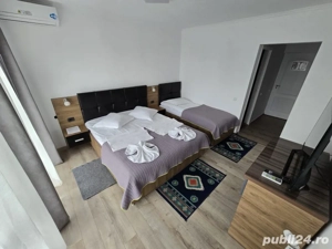 Cazare Revelion - Vila Flavius | 16-20 persoane | 2 sau 3 nopti - imagine 4