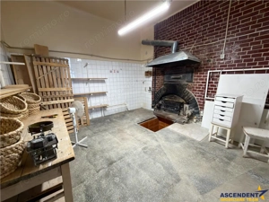 3D!Ansamblu casa+productie+comercial, 3 corpuri,acces stradal,Tudor,Targu Mures, potential ridicat - imagine 18