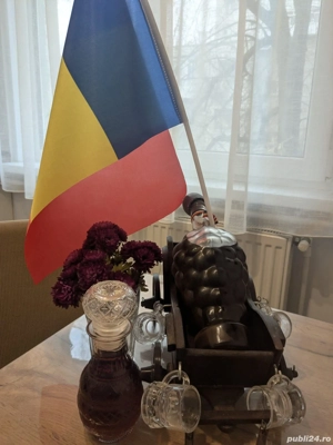 Vând afinată și visinată 