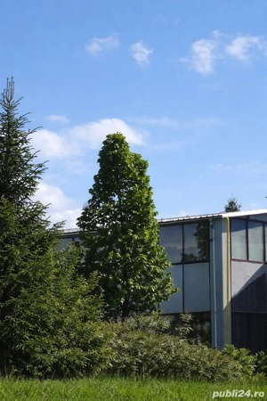 Hala industriala de inchiriat pe Calea Bucuresti folosinta multipla - imagine 4