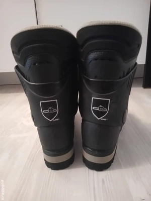 Bocanci forestieri anti taiere drujba 