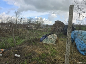 Teren intravilan Baraganu  - imagine 2