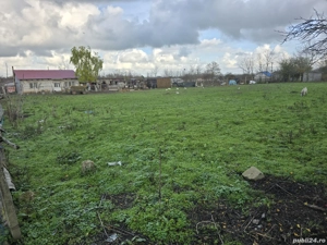 Teren intravilan Baraganu  - imagine 4