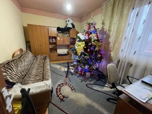 Caransebes, 2 Camere, Dec., Zona Sesu Rosu - imagine 4