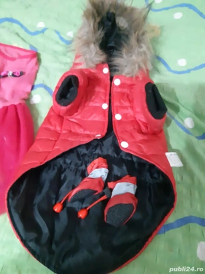 Hainute de catel mic si casuta pisi  - imagine 4