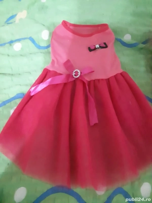 Hainute de catel mic si casuta pisi 