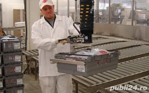  Irlanda - Manipulant-Marfa Depozit Produse Congelate Salariu - 3.000 EUR - imagine 3