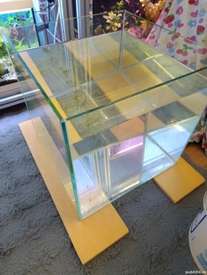 Acvariu nou,pesti plante - imagine 4