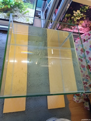 Acvariu nou,pesti plante - imagine 3