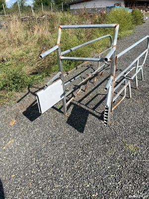 Boxa fătare scroafă  - imagine 3