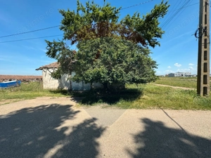 Teren 11404 m2 , Biharia la 1km de autostrada A3 si 300m de centura - imagine 2