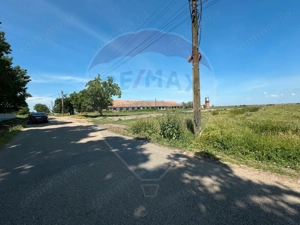 Teren 11404 m2 , Biharia la 1km de autostrada A3 si 300m de centura - imagine 3