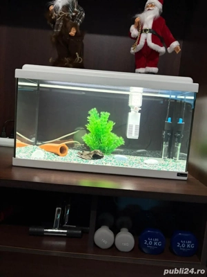 Vand Acvariu de 60 Litri Complect
