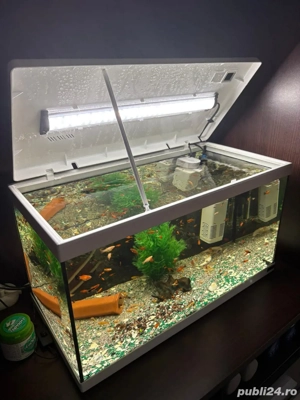 Vand Acvariu de 60 Litri Complect - imagine 5