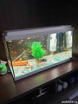 Vand Acvariu de 60 Litri Complect - imagine 2