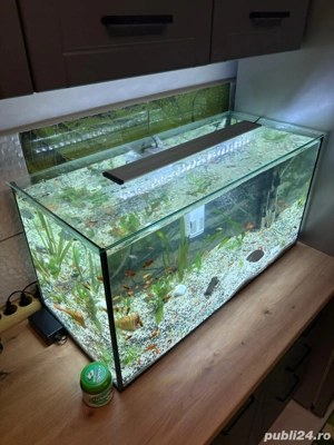 Vand Acvariu de 120 Litri Complect - imagine 4