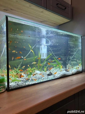 Vand Acvariu de 120 Litri Complect - imagine 3