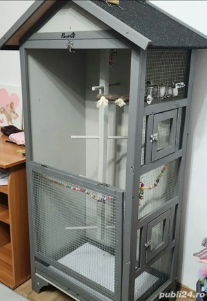 Papagal Micul Alexandru + colivie - imagine 4