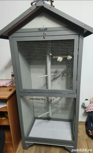 Papagal Micul Alexandru + colivie - imagine 5