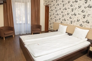 Pensiune, teren 4.460 mp, Hidișelul de Jos, Bihor. 685.000 Euro (neg). - imagine 22