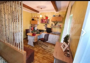 Apartament 5 camere, 135 mp, terasa 250 mp, zona Visani - imagine 12