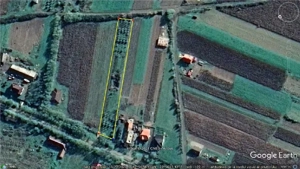 Vând teren intravilan de 25 ari (2 locuri de casa) în Micula Nouă - imagine 3