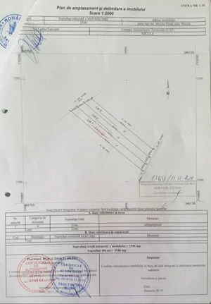 Vând teren intravilan de 25 ari (2 locuri de casa) în Micula Nouă - imagine 2