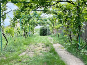 Casa cu teren 2052 mp in Saldabagiu de Munte - imagine 19