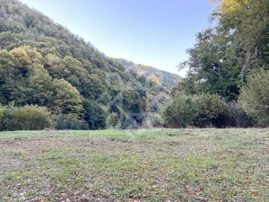 Teren pentru casa de vacanta pe Valea Bratcutei, Bihor - imagine 6