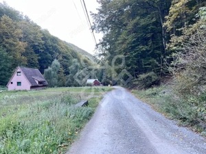 Teren pentru casa de vacanta pe Valea Bratcutei, Bihor - imagine 11