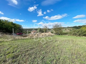 Teren intravilan 5995 mp de vanzare in Hidiselu de Sus - imagine 3