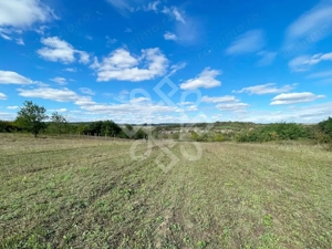 Teren intravilan 5995 mp de vanzare in Hidiselu de Sus