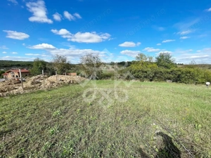 Teren intravilan 5995 mp de vanzare in Hidiselu de Sus - imagine 6