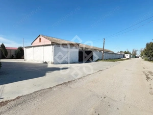 Hala industriala de vanzare in sat Palota, comuna Santandrei - imagine 20