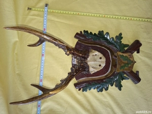Decor  Trofeu vanatoresc