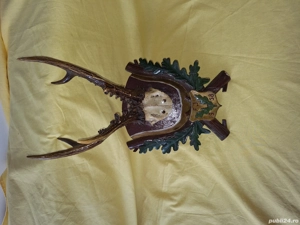 Decor  Trofeu vanatoresc - imagine 4