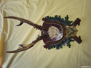 Decor  Trofeu vanatoresc - imagine 2