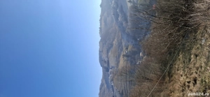 vând teren extravilan 2.5  negociabil  - imagine 4