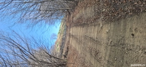 vând teren extravilan 2.5  negociabil  - imagine 3