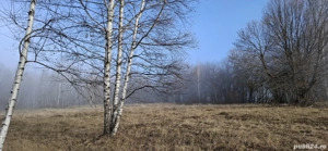 vând teren extravilan 2.5  negociabil  - imagine 2