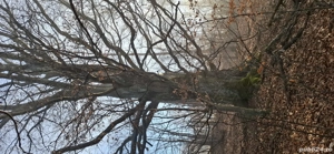 vând teren extravilan 2.5  negociabil  - imagine 6