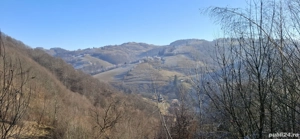 vând teren extravilan 2.5  negociabil  - imagine 8